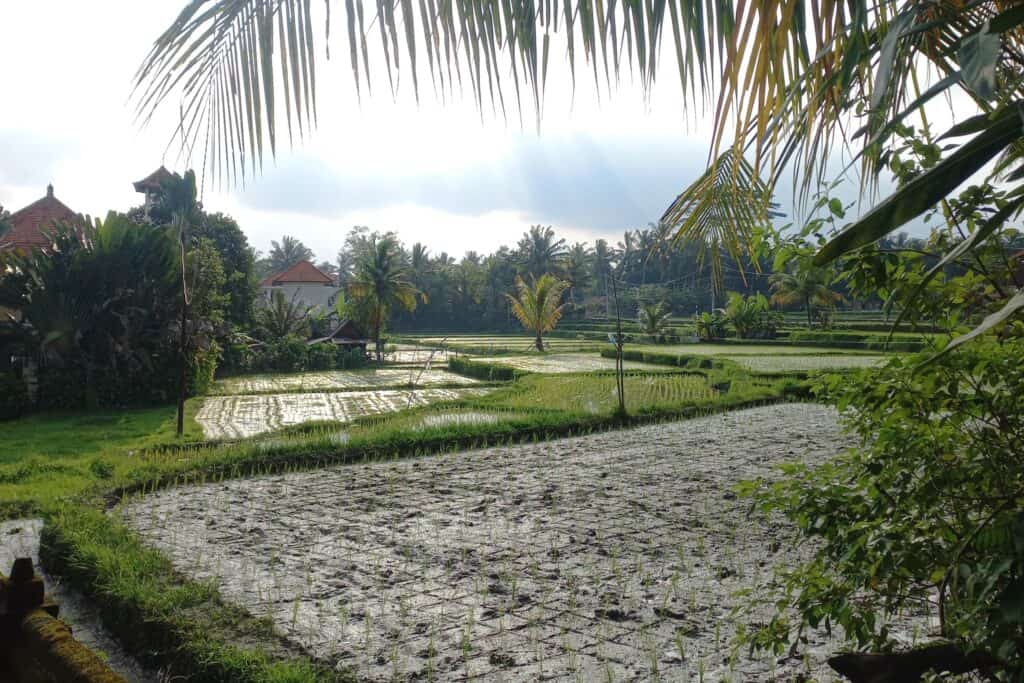 Co si nebrat na Bali?
