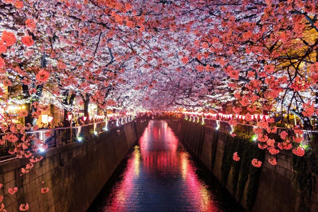 Kam na dovolenou v dubnu - Japonsko