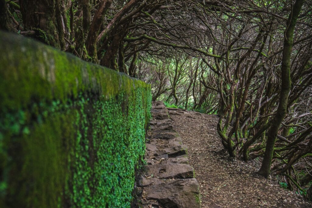 Levády Madeira mapa