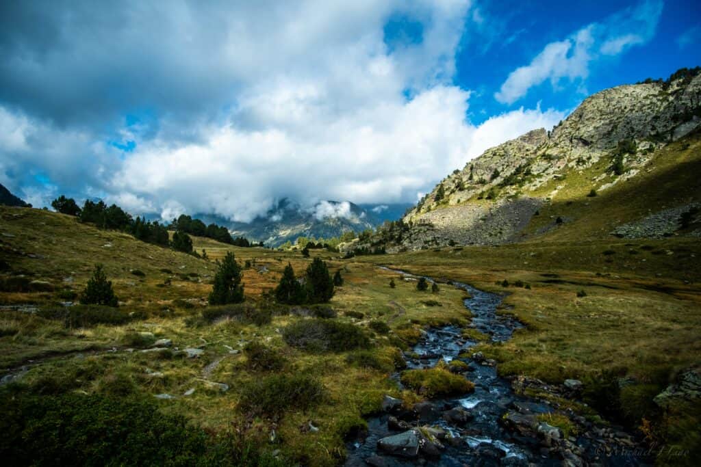 Pyreneje
