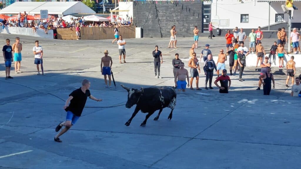 Tourada a corda