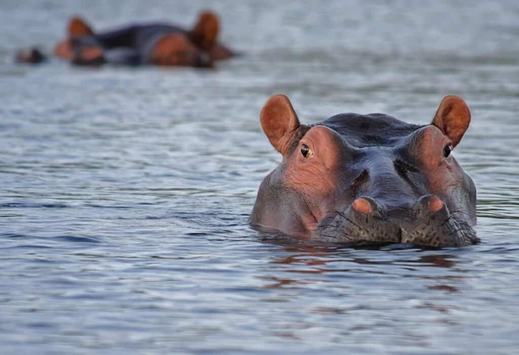 Botswana