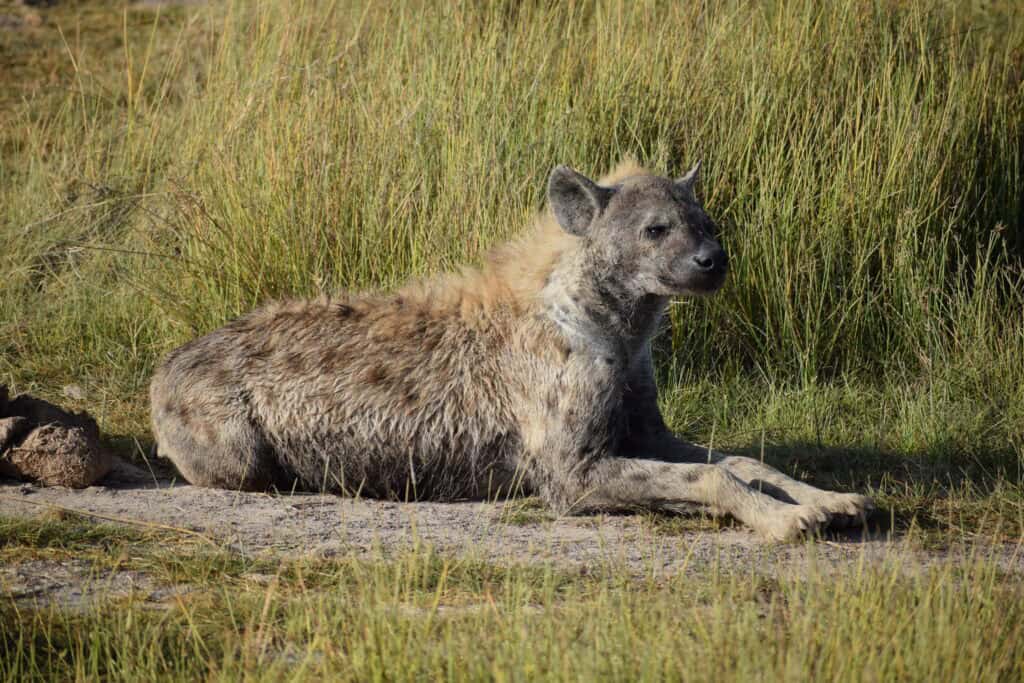 Národní park Samburu