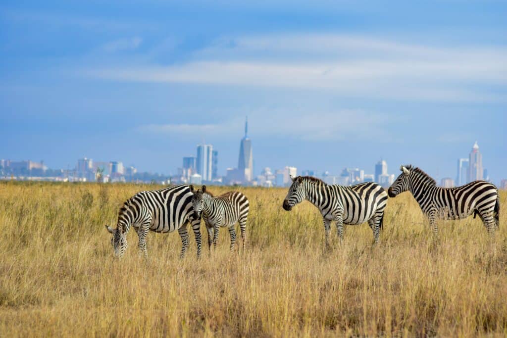 Národní park Nairobi