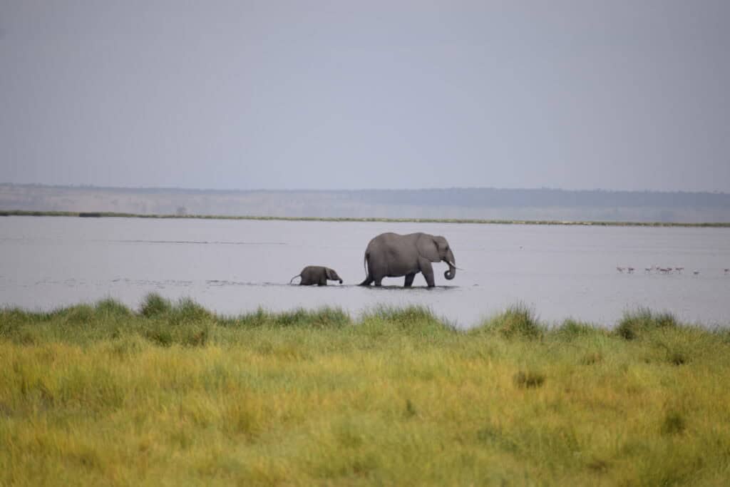 Národní park Amboseli