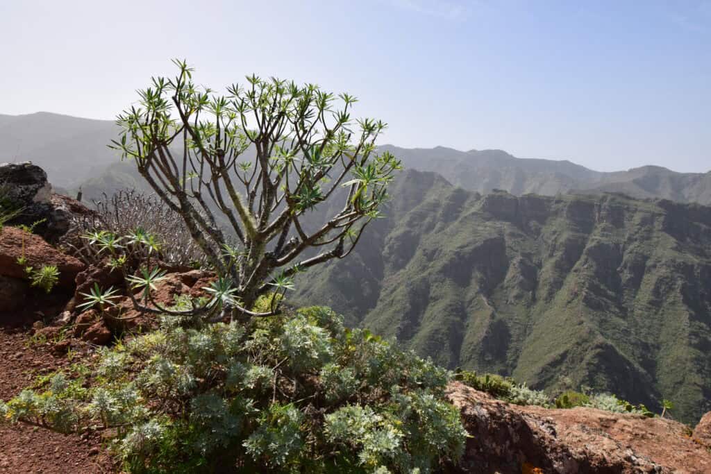 Mirador de Cruz de Hilda