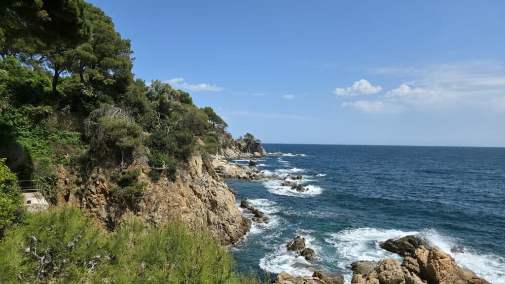 Damí da Ronda