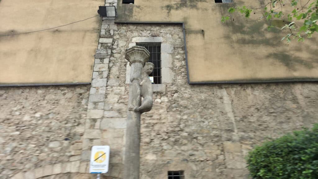 Socha lvice